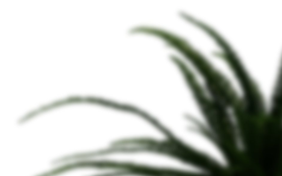 Big Insects